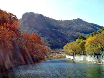 天天彩好彩天天免费，佛山到山东物流